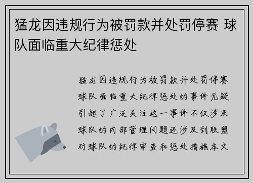 猛龙因违规行为被罚款并处罚停赛 球队面临重大纪律惩处